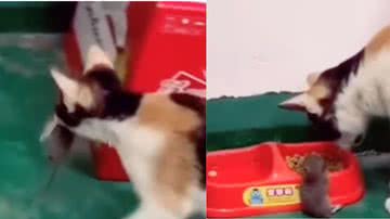 Reprodução / Instagram