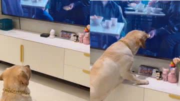 Reprodução / Instagram