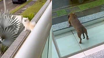 Reprodução/TikTok @storysrayssabuq