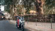 Reprodução Instagram Bike Ago