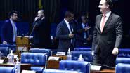 Waldemir Barreto/Agência Senado