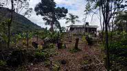 Divulgação/Polícia Ambiental
