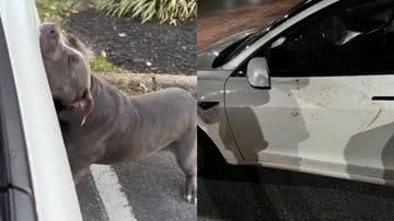 Reprodução/TikTok @toodiesangelxx