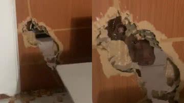 Reprodução/TikTok @.jessyca_