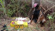 Divulgação/SSP