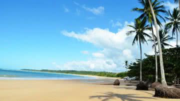 Rodrigo Soldon via Flickr