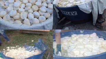 Divulgação/Polícia Militar de Meio Ambiente