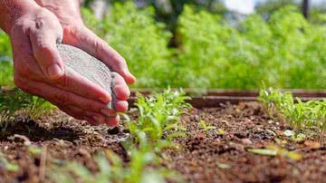 Vulcano/Divulgação