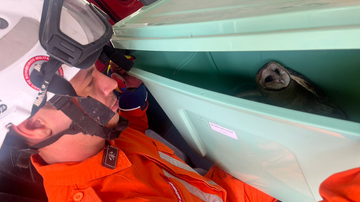 Divulgação/Bombeiros