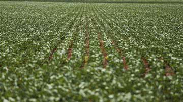 Marcelo Camargo/Agência Brasil