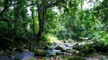 © Tania Rego/Agência Brasil