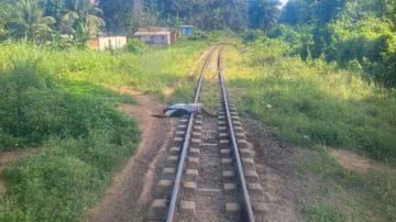 Reprodução/Whatsapp