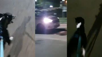 Reprodução / Vídeo