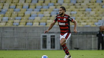 Marcelo Cortes / Flamengo