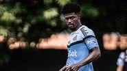 Raul Baretta/ Santos FC