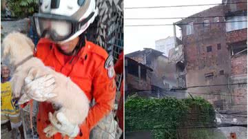 Divulgação/Bombeiros