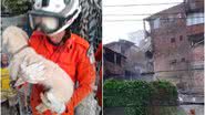 Divulgação/Bombeiros