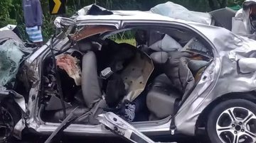 Reprodução/Redes Sociais