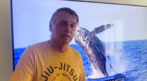 Jair Bolsonaro em mensagem a apoiadores com vídeo de baleia ao fundo - Reprodução: Redes Sociais