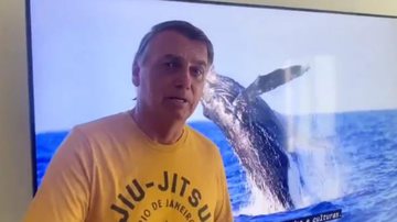 Jair Bolsonaro em mensagem a apoiadores com vídeo de baleia ao fundo - Reprodução: Redes Sociais