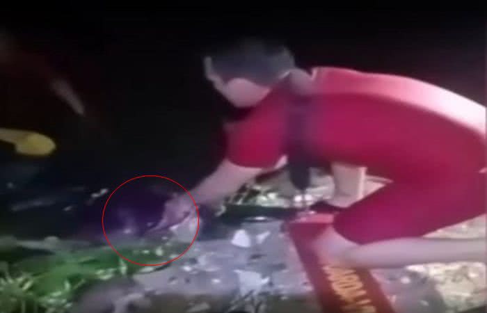 Reprodução/Vídeo