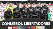 Vítor Silva/Botafogo