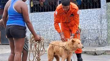 Reprodução / Bombeiros