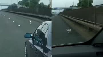 Reprodução / Instagram