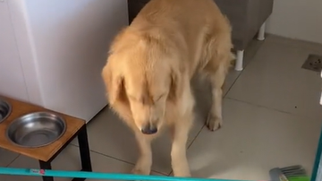 Reprodução// TikTok @jhonnybananaa