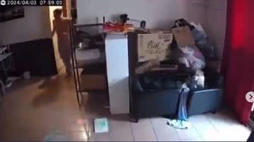 Reprodução/Redes Sociais