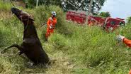 Ascom / Corpo de Bombeiros
