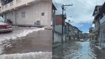 Reprodução