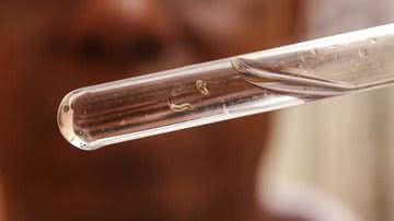 Marcelo Camargo / Agência Brasil