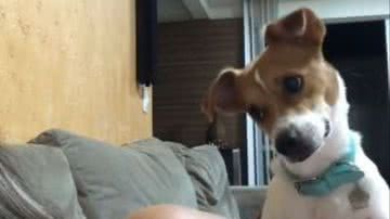 Reprodução// TikTok @oliviahmartins