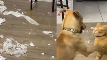 Reprodução// TikTok @priscilapmendes