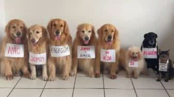 Reprodução Redes Sociais