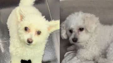 Reprodução// TikTok @soueuynuki