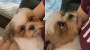 Reprodução// TikTok @renaatams