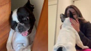 Reprodução// TikTok @maialuvidigal