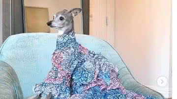 Reprodução// Instagram