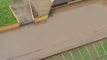 Reprodução/Redes Sociais