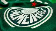Divulgação / Palmeiras
