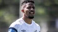 Raul Baretta / Santos FC