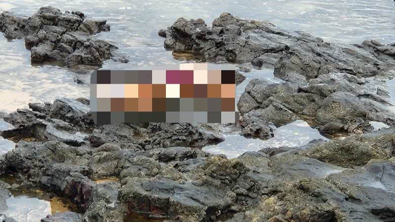 Leitor BNews / Montagem BNews