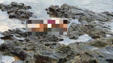 Leitor BNews / Montagem BNews