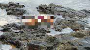 Leitor BNews / Montagem BNews