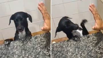 Reprodução / Redes Sociais