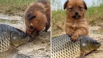 Reprodução / Redes Sociais