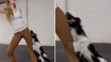 Reprodução / Redes Sociais