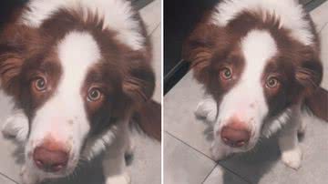 Reprodução / Redes Sociais